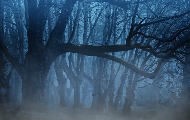Whispering Woods
